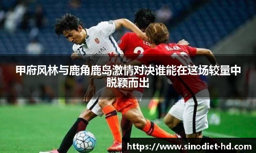 甲府风林与鹿角鹿岛激情对决谁能在这场较量中脱颖而出