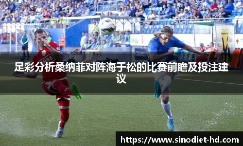 足彩分析桑纳菲对阵海于松的比赛前瞻及投注建议